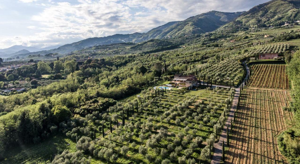 Accogliente Alloggio Con Vista E Piscina Lucques Extérieur photo